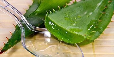 Jugo de aloe para tratar las varices en las piernas.